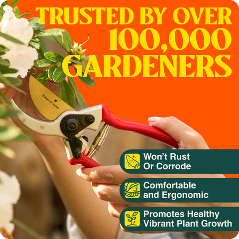 product-image_with_text