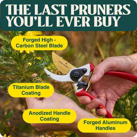 product-image_with_text