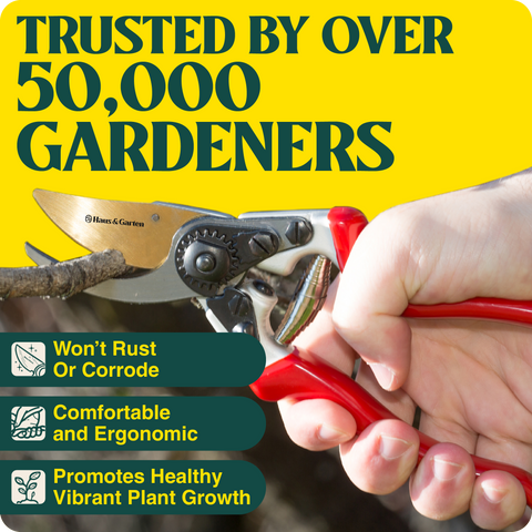 product-image_with_text