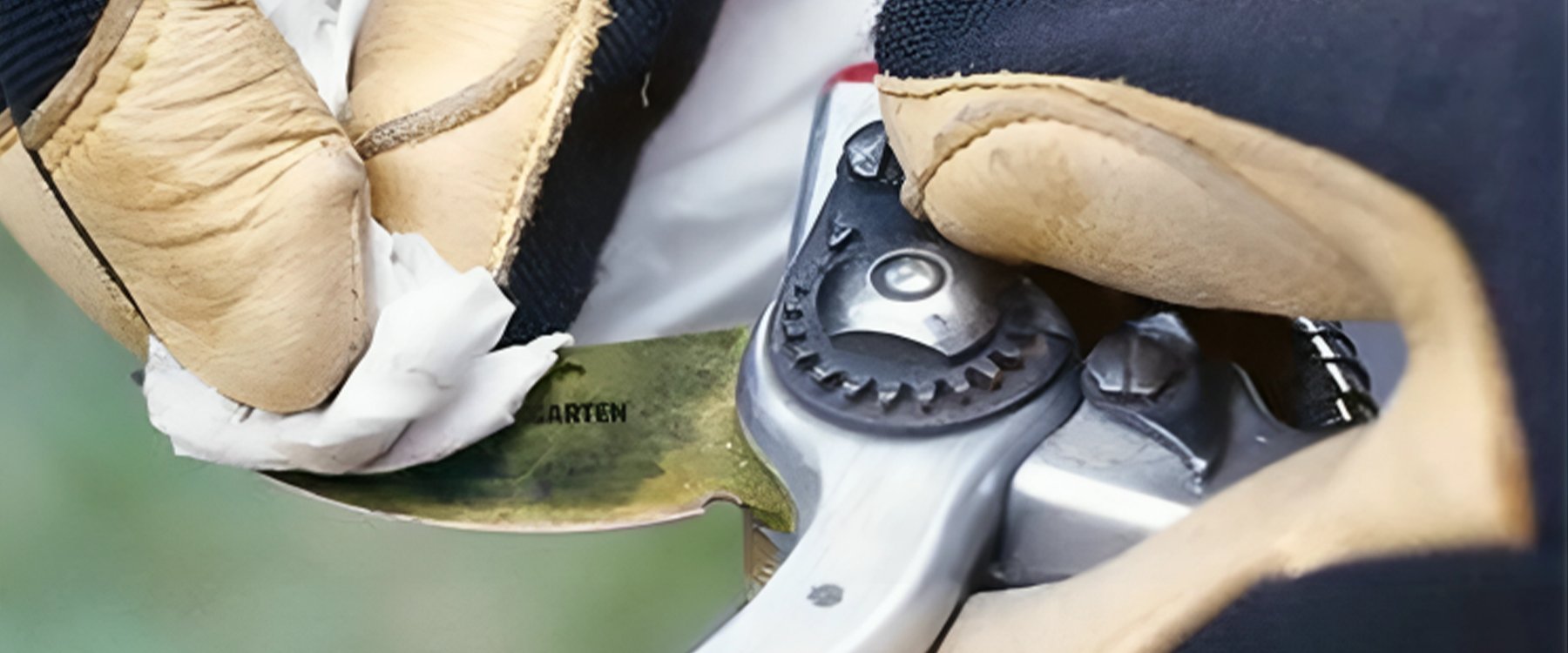How To Care For Your Pruning Shears for Perfect Cuts Every Time