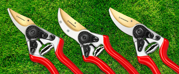 How to Choose Pruning Shears: Expert Tips for Perfect Gardening