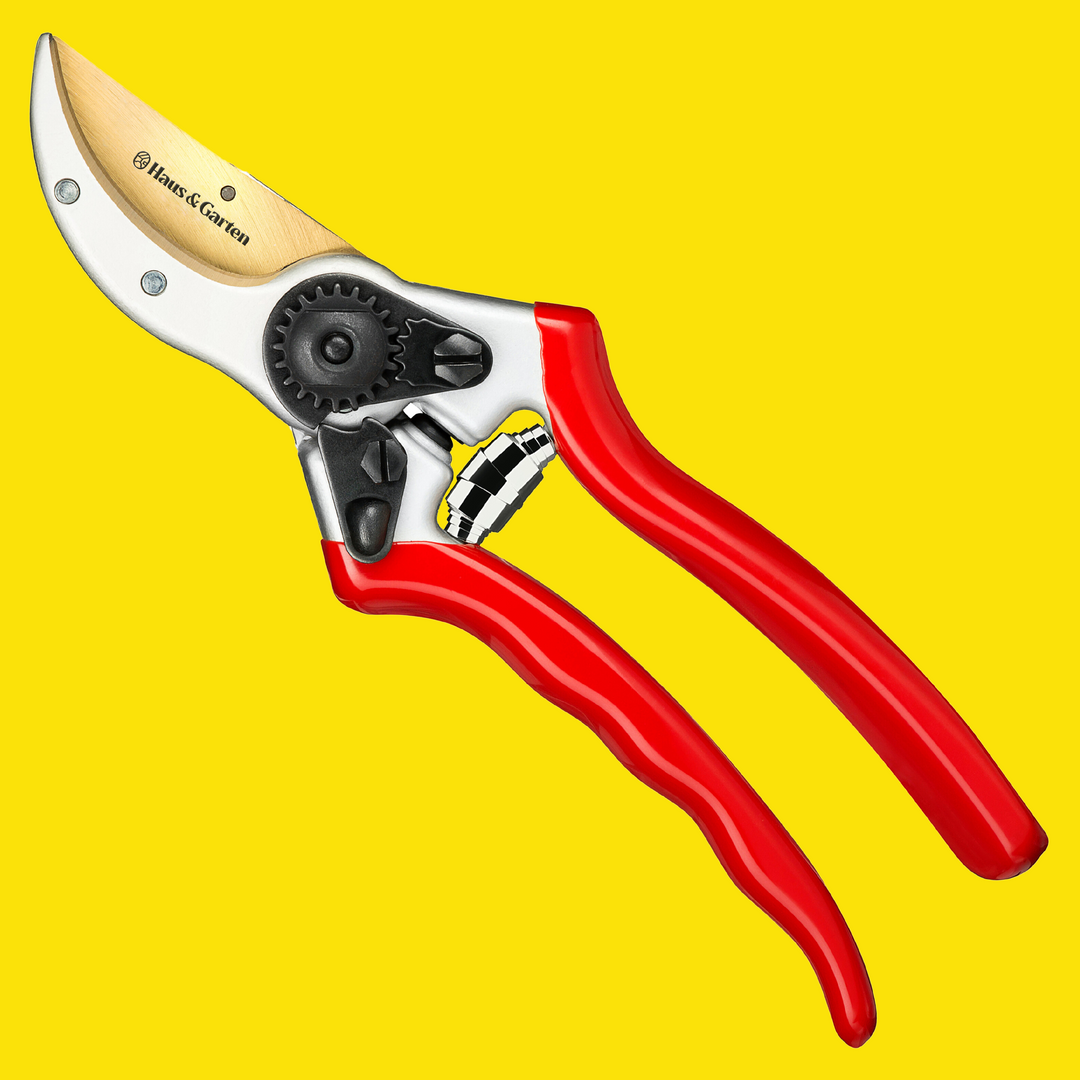 ClassicPRO Bypass Pruning Shears - Haus & Garten®
