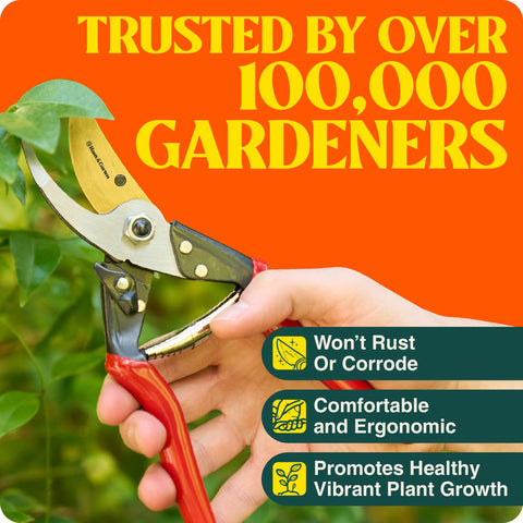 product-image_with_text