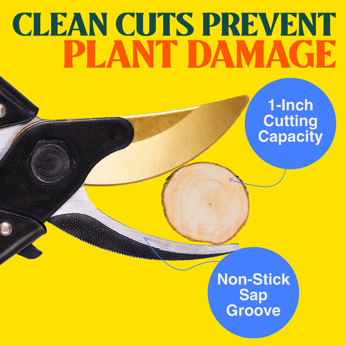 ForgedPRO Bypass Pruner