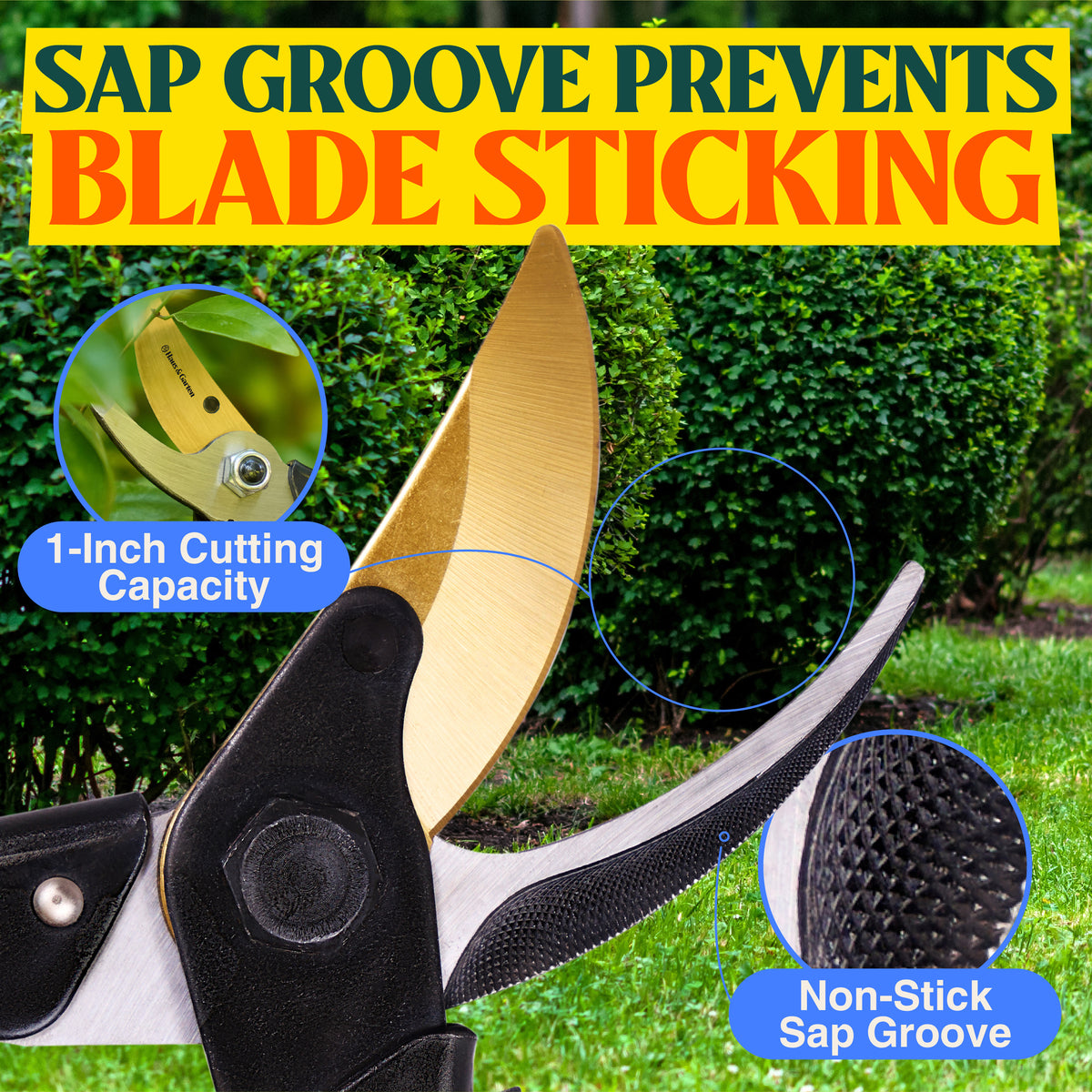 ForgedPRO Bypass Pruner