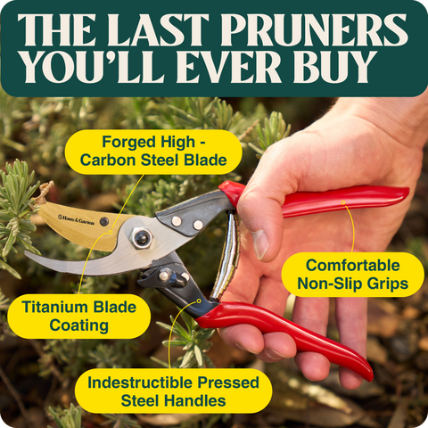 product-image_with_text