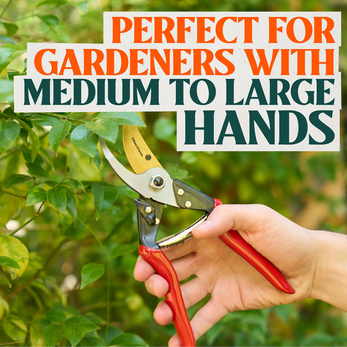 ForgedPRO Bypass Pruner