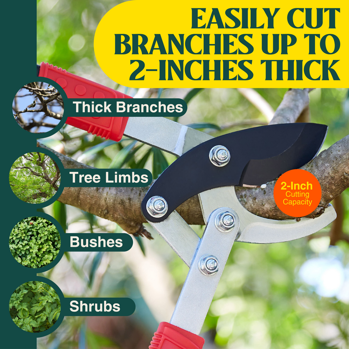 Bypass online tree loppers